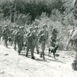 Dobermans and their handlers