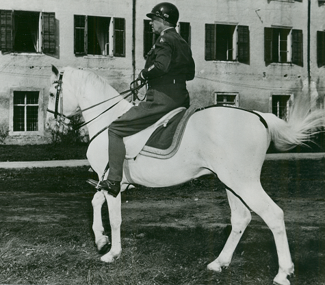 Patton riding Austrian thoroughbred horse