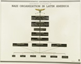 Nazi Organization in Latin America