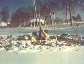 GIs in snow-camouflage suits