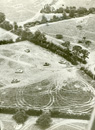 German tankers near Falaise, France