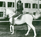 Patton mounted on the horse Favory Africa in Africa