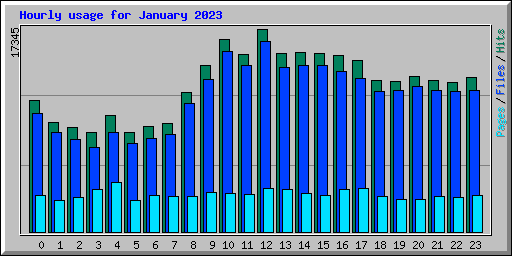 Hourly usage for January 2023